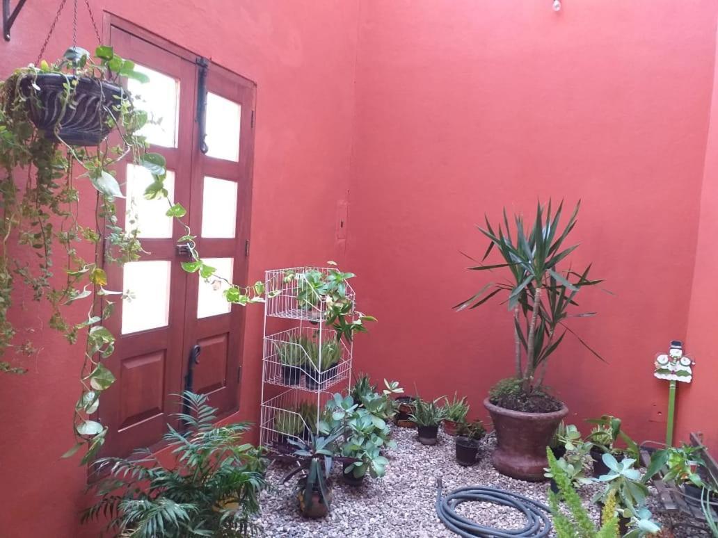 サン・ミゲル・デ・アジェンデCasa Fraile San Miguelアパートメント エクステリア 写真